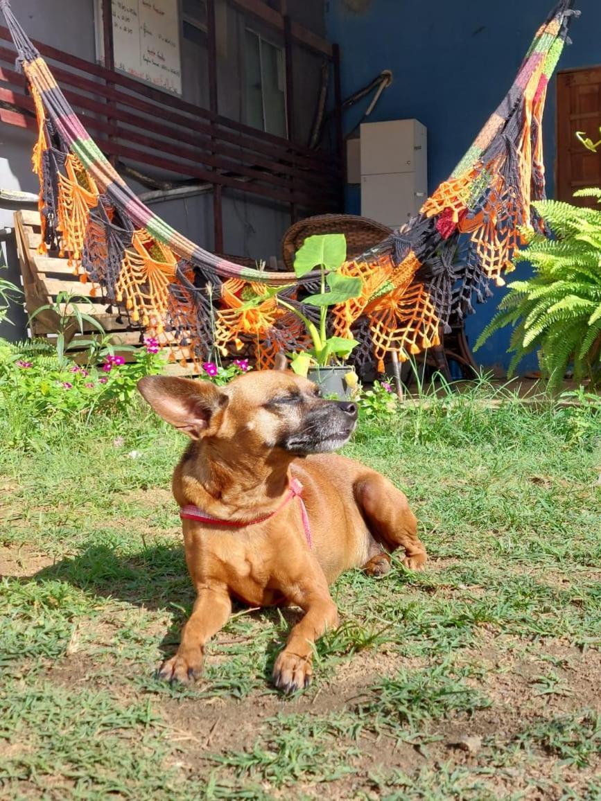 Estacao Noronha Hostel เฟอร์นันโด เด โนรอนญา ภายนอก รูปภาพ